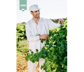 INDUSTRIA ALIMENTARIA